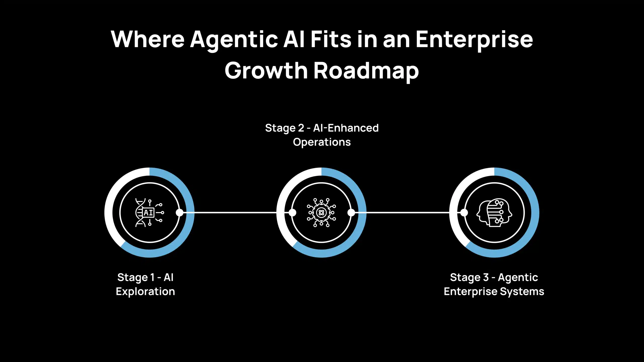 Where Agentic AI Fits in an Enterprise Growth Roadmap scaled